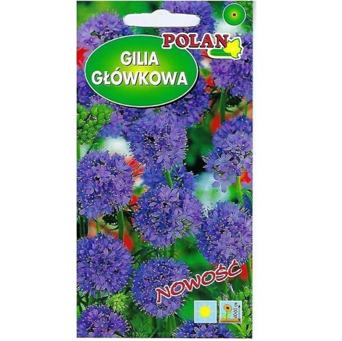 GILIA GŁÓWKOWA fioletowo-niebieska nasiona 0,5g