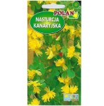 NASTURCJA KANARYJSKA ŻÓŁTA nasiona kwiatów 1g