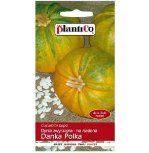 DYNIA pestkowa DANKA POLKA nasiona warzyw 3g
