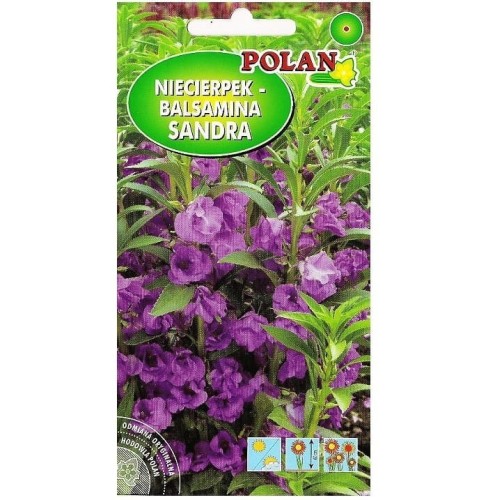 NIECIERPEK BALSAMINA SANDRA fioletowy, nasiona 2g