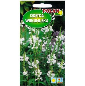 ODĘTKA WIRGINIJSKA BIAŁA nasiona kwiatów 0,2g