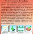 DYNIA pestkowa DANKA POLKA nasiona warzyw 3g