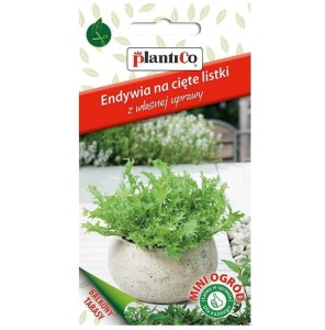 ENDYWIA Romanesca nasiona na cięte listki 0,5g Mini Ogród