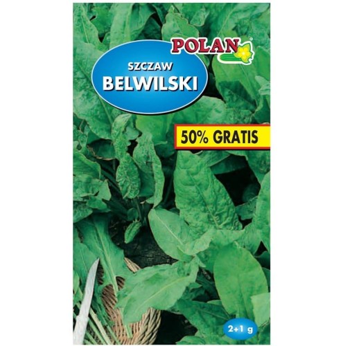 SZCZAW BELWILSKI wieloletni nasiona warzyw 3g