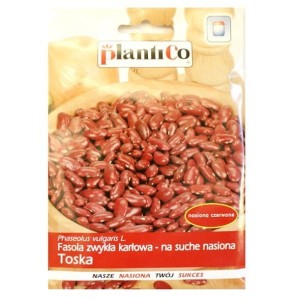 Fasola czerwona karłowa na suche nasiona TOSKA 40g - nasiona PlantiCo