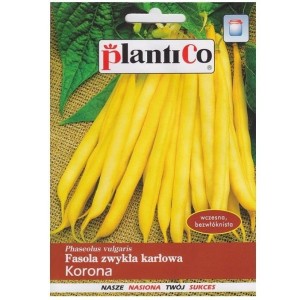 Fasola szparagowa KORONA - karłowa żółta bez włókien - nasiona Plantico 40g