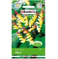 MINA LOBATA kwitnące pnącze, nasiona 0,5g