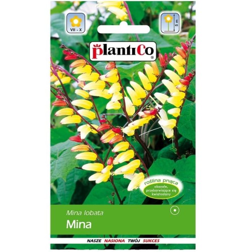 MINA LOBATA kwitnące pnącze, nasiona 0,5g