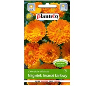 NAGIETEK LEKARSKI NISKI POMARAŃCZOWY - karłowy -  nasiona Plantico 2g