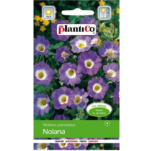 NOLANA paradoxa błękitna BLUE BIRD  nasiona 1g