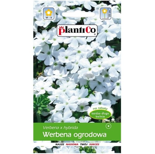 WERBENA ogrodowa BIAŁA nasiona kwiatów 0,5g