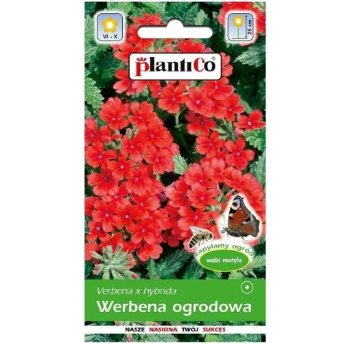 WERBENA ogrodowa CZERWONA nasiona kwiatów 0,5g