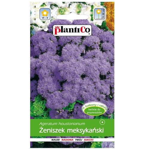 ŻENISZEK meksykański Tetra FIOLETOWY nasiona 0,25g