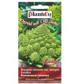 Kalafior zielony ROMANESCO nasiona warzyw 0,2g