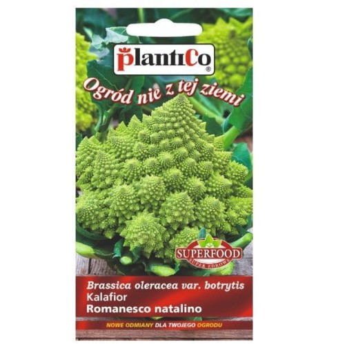 Kalafior zielony ROMANESCO nasiona warzyw 0,2g
