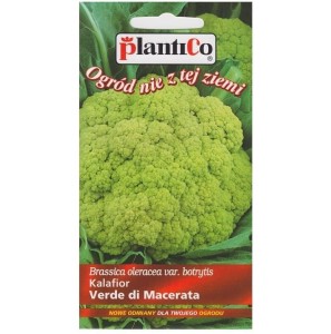 Kalafior zielony VERDE DI MACERATA nasiona 0,2g