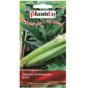 KARD Bianco Avorio / Ivory White, nasiona 1g