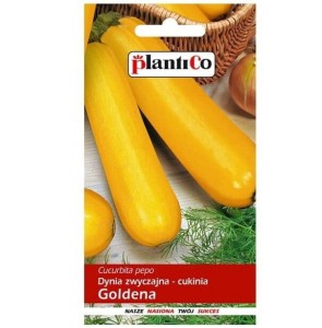 Cukinia GOLDENA dynia zwyczajna, nasiona 3g