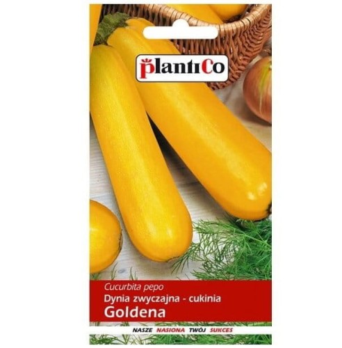 Cukinia GOLDENA dynia zwyczajna, nasiona 3g