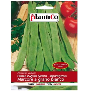Fasola MARCONI A GRANA BIANCO - szparagowa tyczna zielona - nasiona 10g