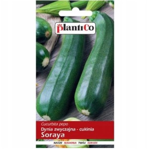 Cukinia SORAYA - średniowczesna, dynia zwyczajna - nasiona PlantiCo 3g