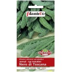 Jarmuż toskański NERO DI TOSCANA nasiona 1g