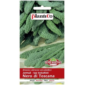 Jarmuż toskański NERO DI TOSCANA nasiona 1g