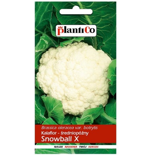 Kalafior biały średnio-późny SNOWBALL X nasiona 1g