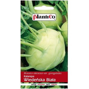 Kalarepa wczesna WIEDEŃSKA BIAŁA nasiona 2g