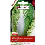 Kapusta pekińska POLSTAR F1 nasiona warzyw 0,5g