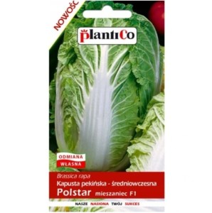 Kapusta pekińska POLSTAR F1 nasiona warzyw 0,5g