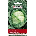 Kapusta włoska późna LANGEDIJSKA nasiona 2g