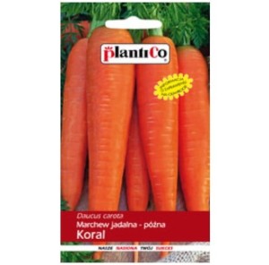 Marchew KORAL długa, późna lub ozima, nasiona 5g