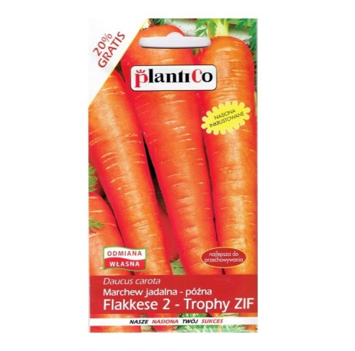 Marchew późna FLAKKESE 2 TROPHY ZIF nasiona 6g