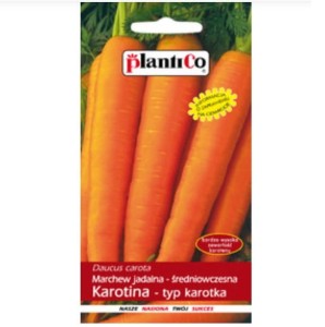 Marchew KAROTINA karotka średniowczesna nasiona 5g