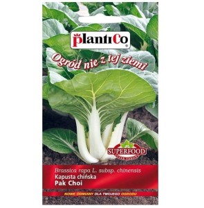 Kapusta chińska PAK CHOI nasiona warzyw 0,1g