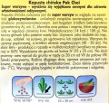 Kapusta chińska PAK CHOI nasiona warzyw 0,1g