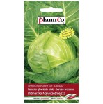Kapusta biała DITMARSKA NAJWCZEŚNIEJSZA nasiona 2g