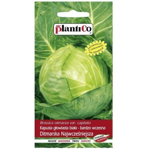 Kapusta biała DITMARSKA NAJWCZEŚNIEJSZA nasiona 2g