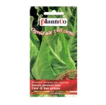 Kapusta biała stożkowa Cuor Di Bue Grosso - nasiona PlantiCo 1g