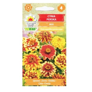 CYNIA PERSKA mix kolorów nasiona kwiatów 0,5g