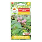 MIMOZA WSTYDLIWA Czułek nasiona kwiatów 0,2g