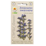 ŻMIJOWIEC ZWYCZAJNY, Echium - nasiona dzikich roślin Toraf Wild Flowers 1g