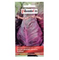 Kapusta czerwona stożkowa KALIBOS nasiona 1g