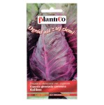 Kapusta czerwona stożkowa KALIBOS nasiona 1g