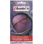 Kapusta czerwona LANGEDIJKER DAUER 2 nasiona 2,4g