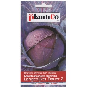 Kapusta czerwona LANGEDIJKER DAUER 2 nasiona 2,4g