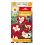 Mak lekarski DANISH FLAG czerwono-biały, nasiona kwiatów Toraf 0,5g