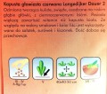 Kapusta czerwona LANGEDIJKER DAUER 2 nasiona 2,4g