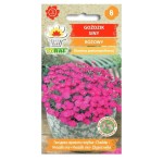 Goździk siny różowy - Dianthus wieloletni - nasiona kwiatów Toraf 0,2g